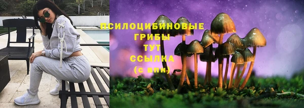 ешки Володарск